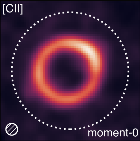 [CII] moment-0 map of a gravitationally lensed galaxy